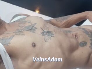 VeinsAdam