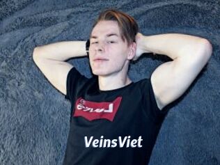 VeinsViet
