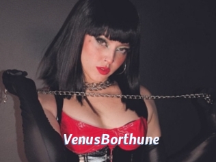 VenusBorthune