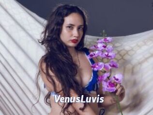 VenusLuvis