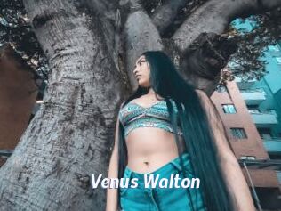 Venus_Walton