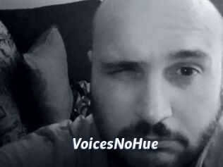 VoicesNoHue