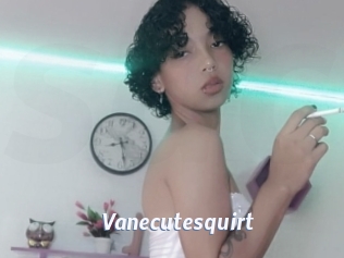 Vanecutesquirt
