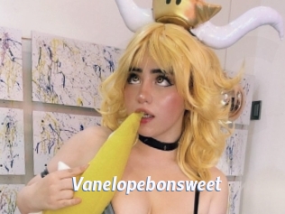 Vanelopebonsweet