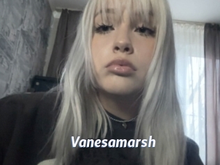 Vanesamarsh