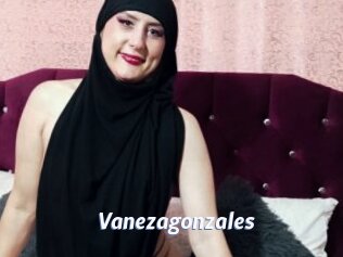Vanezagonzales