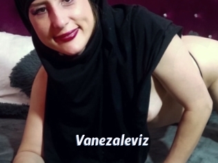 Vanezaleviz