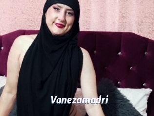 Vanezamadri