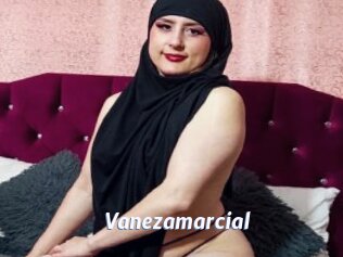 vanezamarcial Sexe amateur contributions
