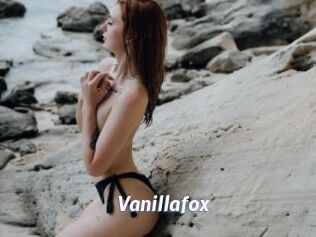 Vanillafox