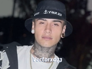 Vectorx073