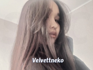 Velvettneko