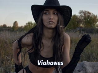 Viahawes