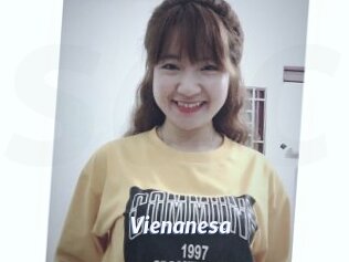 Vienanesa