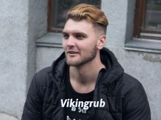 Vikingrub