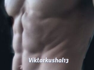 Viktarkushal13