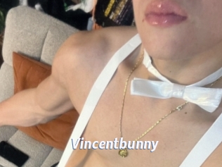Vincentbunny