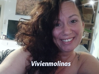 Vivienmolinas