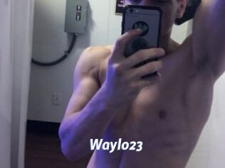 Waylo23