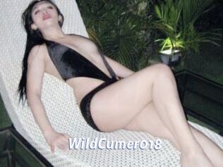 WildCumer018 Sexe amateur contributions