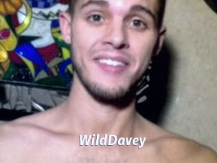 WildDavey