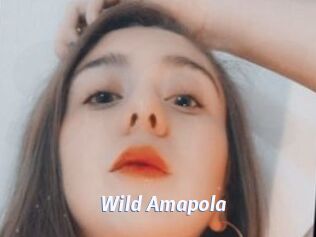 Wild_Amapola