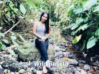 Wild_Rose18
