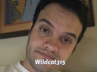 Wildcat315