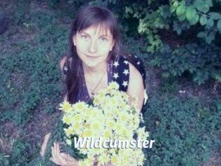 Wildcumster