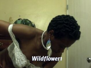 Wildflower1