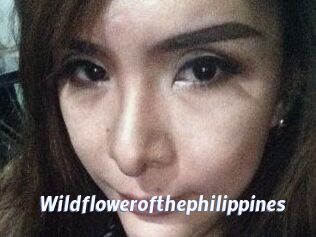 Wildflowerofthephilippines