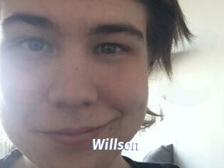 Willson Sexe amateur contributions
