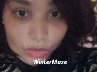 Winter_Maze