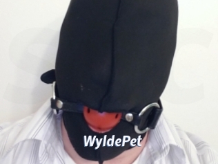WyldePet Sexe amateur contributions