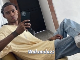 Wakanda22