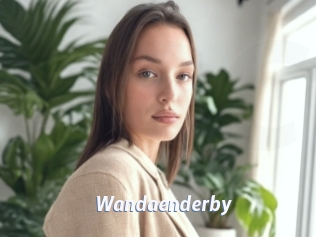 Wandaenderby
