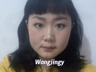 Wangjingy