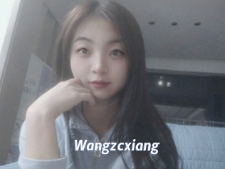 Wangzcxiang