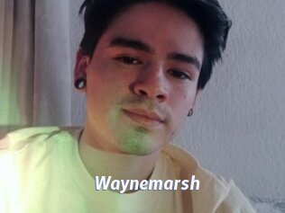 Waynemarsh