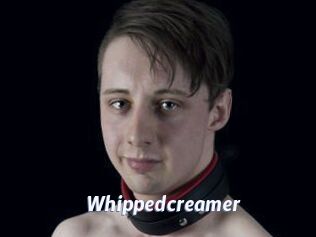 Whippedcreamer