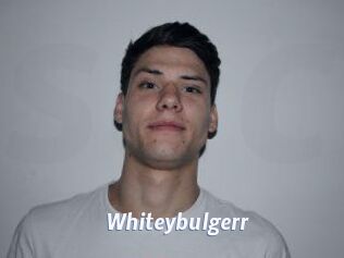 Whitey_bulgerr