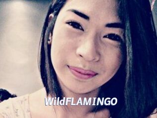 WildFLAMINGO