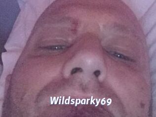 Wildsparky69