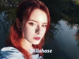 Willahase