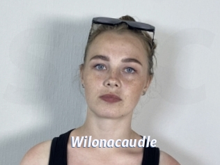 Wilonacaudle
