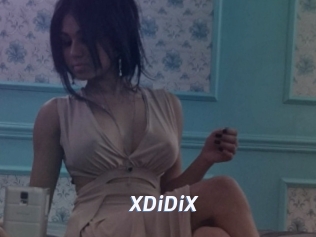 XDiDiX