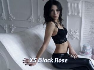 XS_Black_Rose