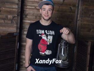 XandyFox