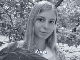 Xinyu