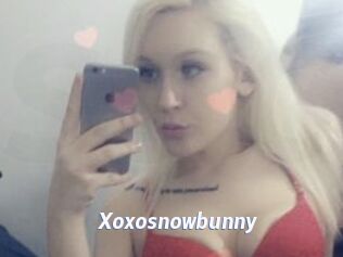 Xoxosnowbunny